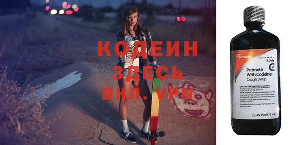 индика Гусиноозёрск