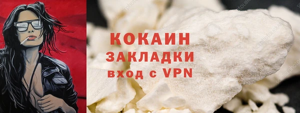 индика Гусиноозёрск