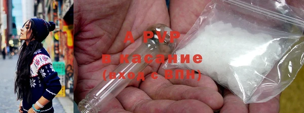 индика Гусиноозёрск