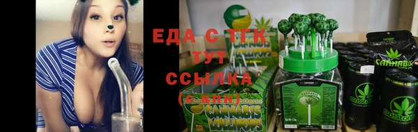 тгк Гусев