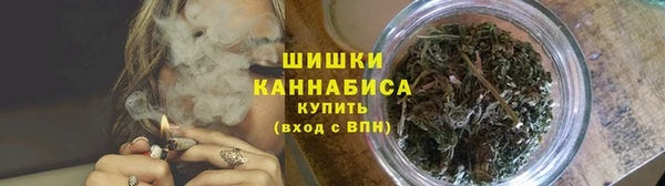 индика Гусиноозёрск