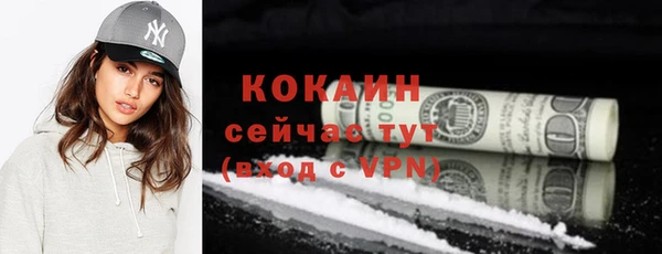 тгк Гусев