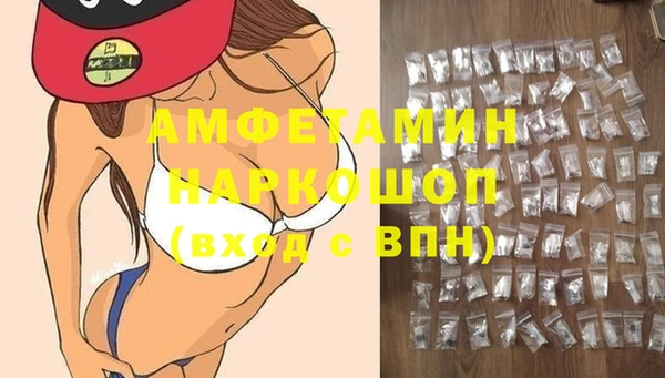 тгк Гусев