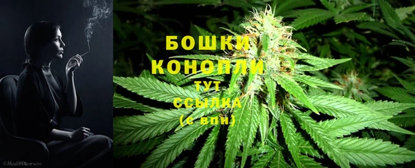 герыч Дмитриев
