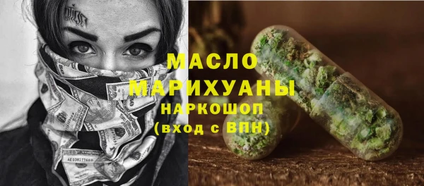 тгк Гусев