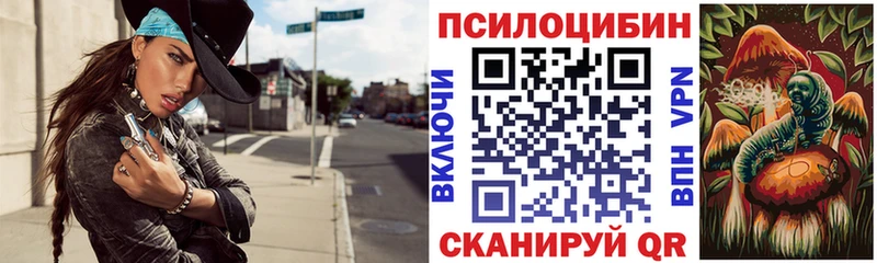 Псилоцибиновые грибы Cubensis Нерюнгри